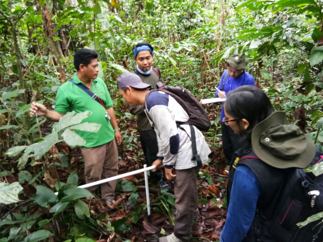 Inventarisasi hutan Kapuas Hulu