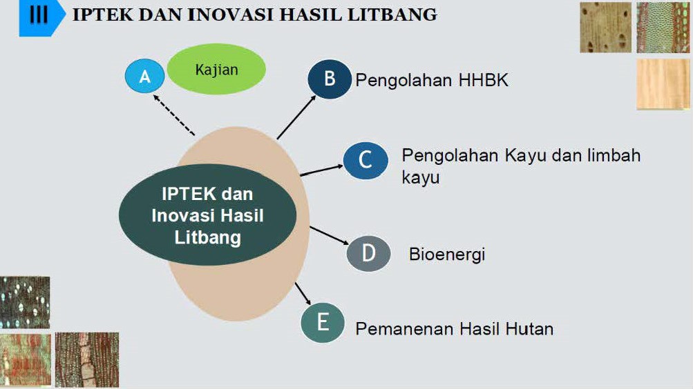 Litbang inovasi