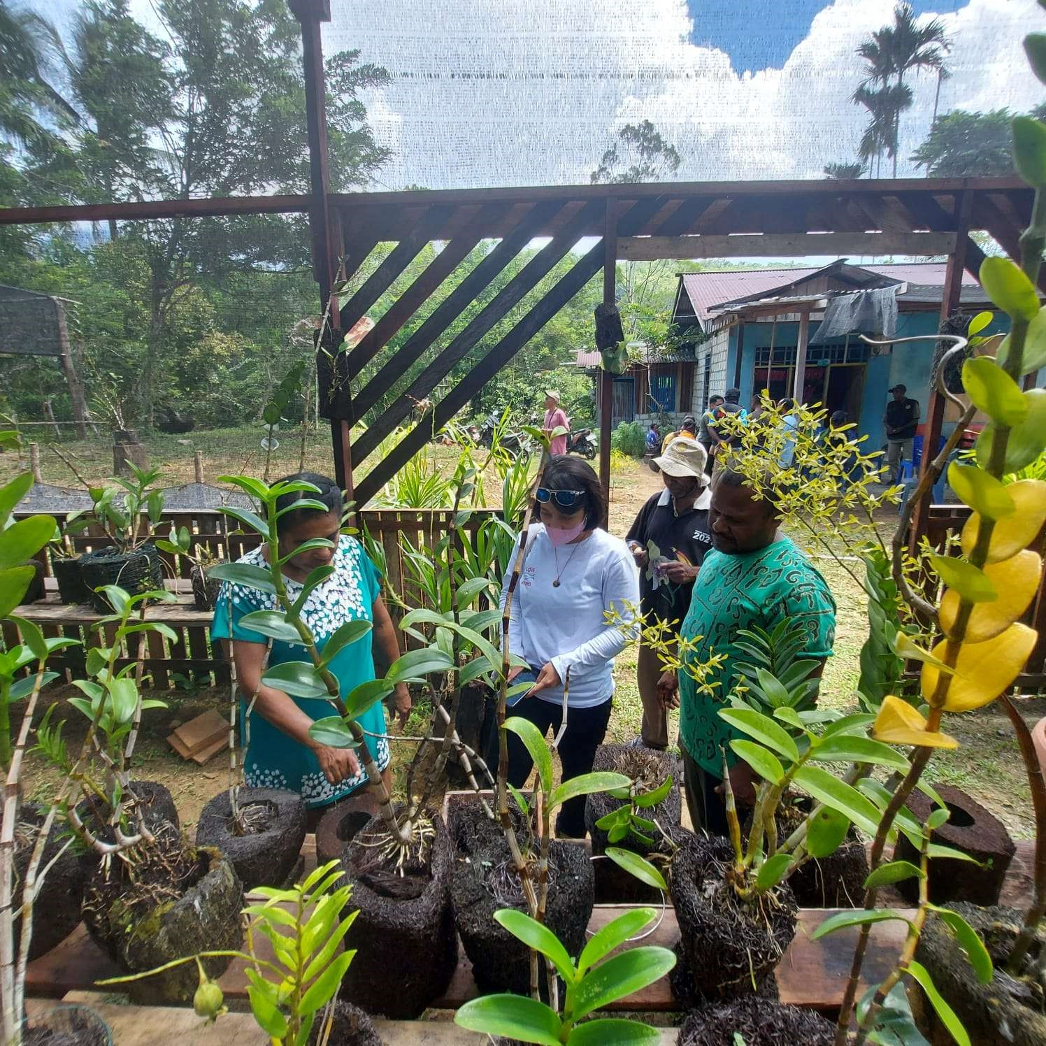 2022 11 30 exchange knowledge BKSDA Papua CBLL konservasi dan Anggrek fa 1