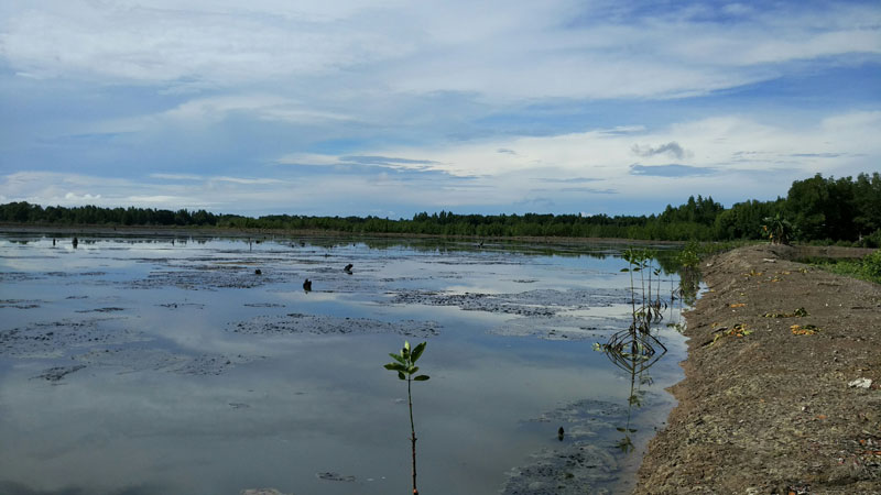 Tambak Kaltara