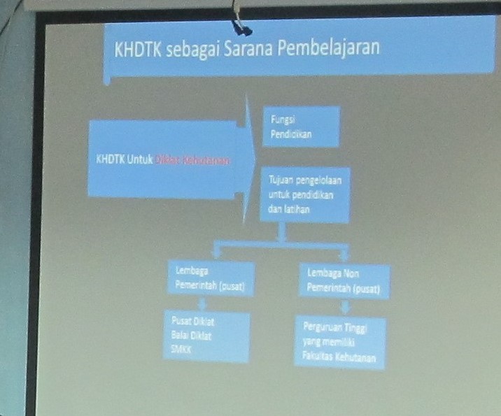 pengembangan hutan diklat